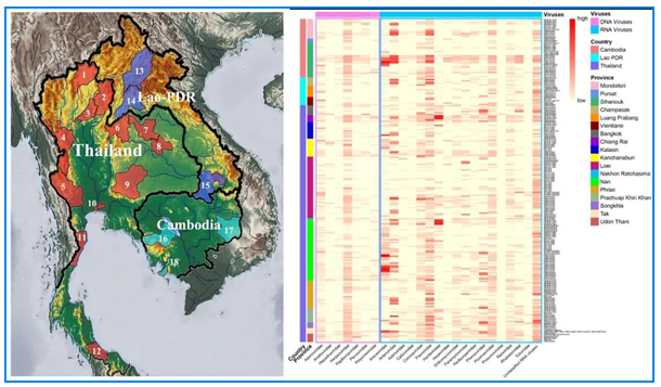 f71818c54b634121a46c6296f67fd3c1.png image.png