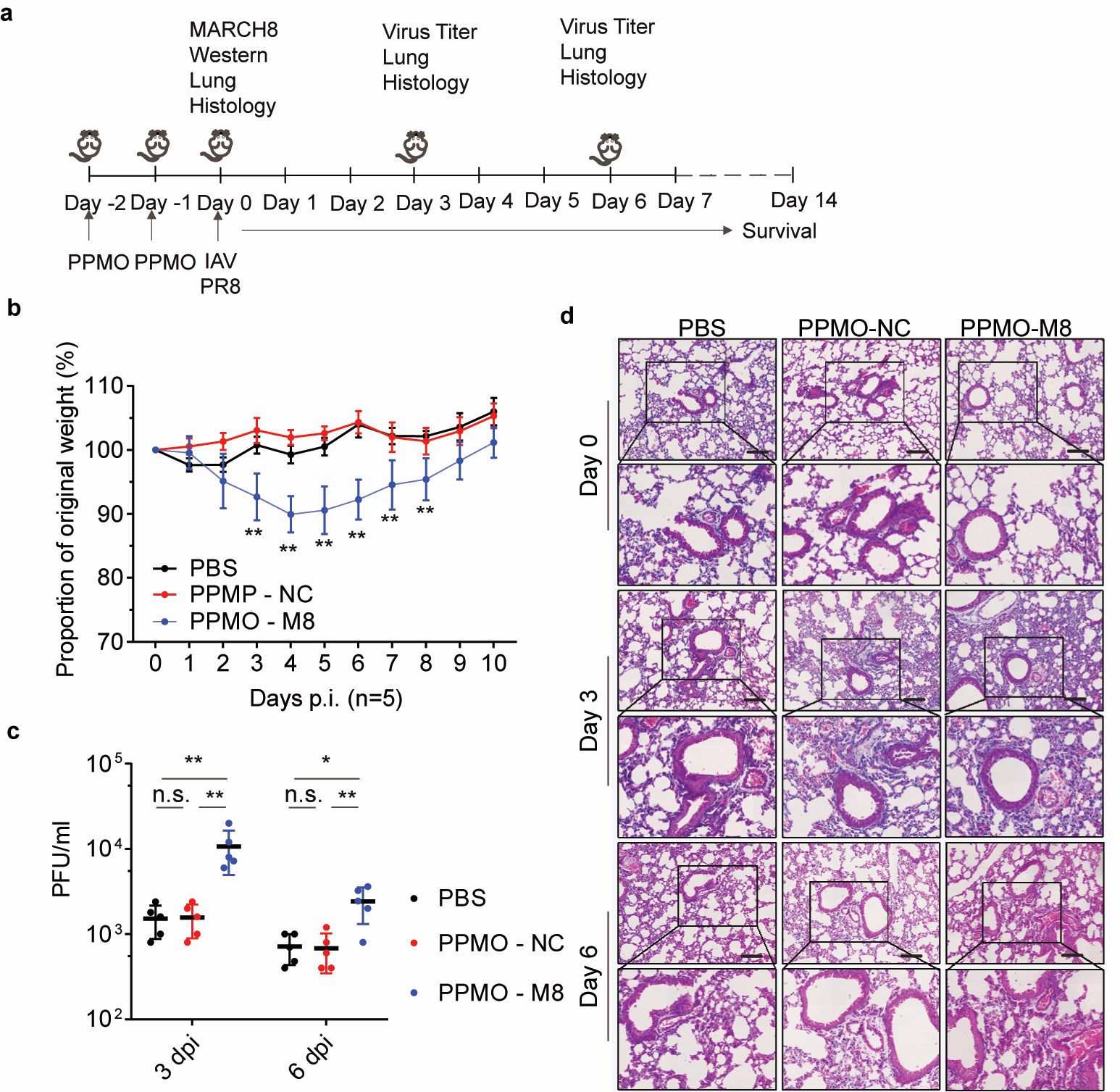 微信圖片_20210809120407.jpg 微信圖片_20210809120407.jpg