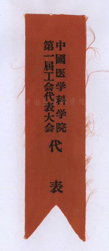 代表證_副本.jpg 代表證_副本.jpg