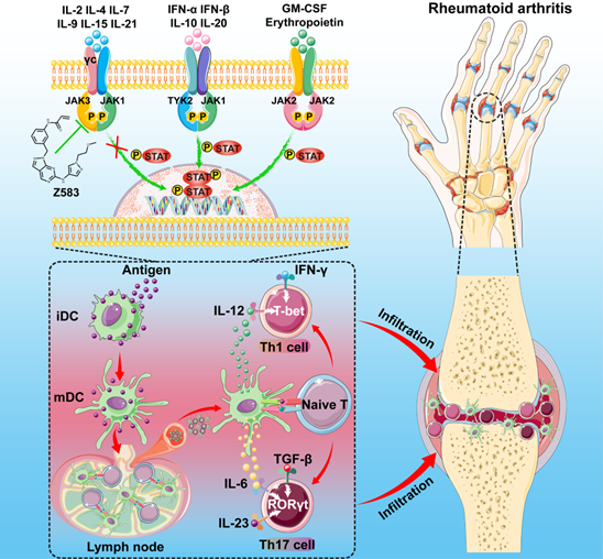 01c9e979a6864fc3b1b72ed076ce7939.png image.png