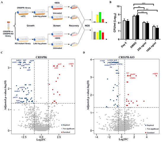 af2736d474e34d9bb137ebeb9b711712.png image.png