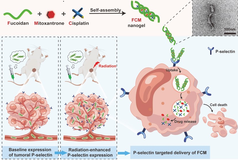 c270b3014bd844edb7df23afef1dea55.png c270b3014bd844edb7df23afef1dea55.png