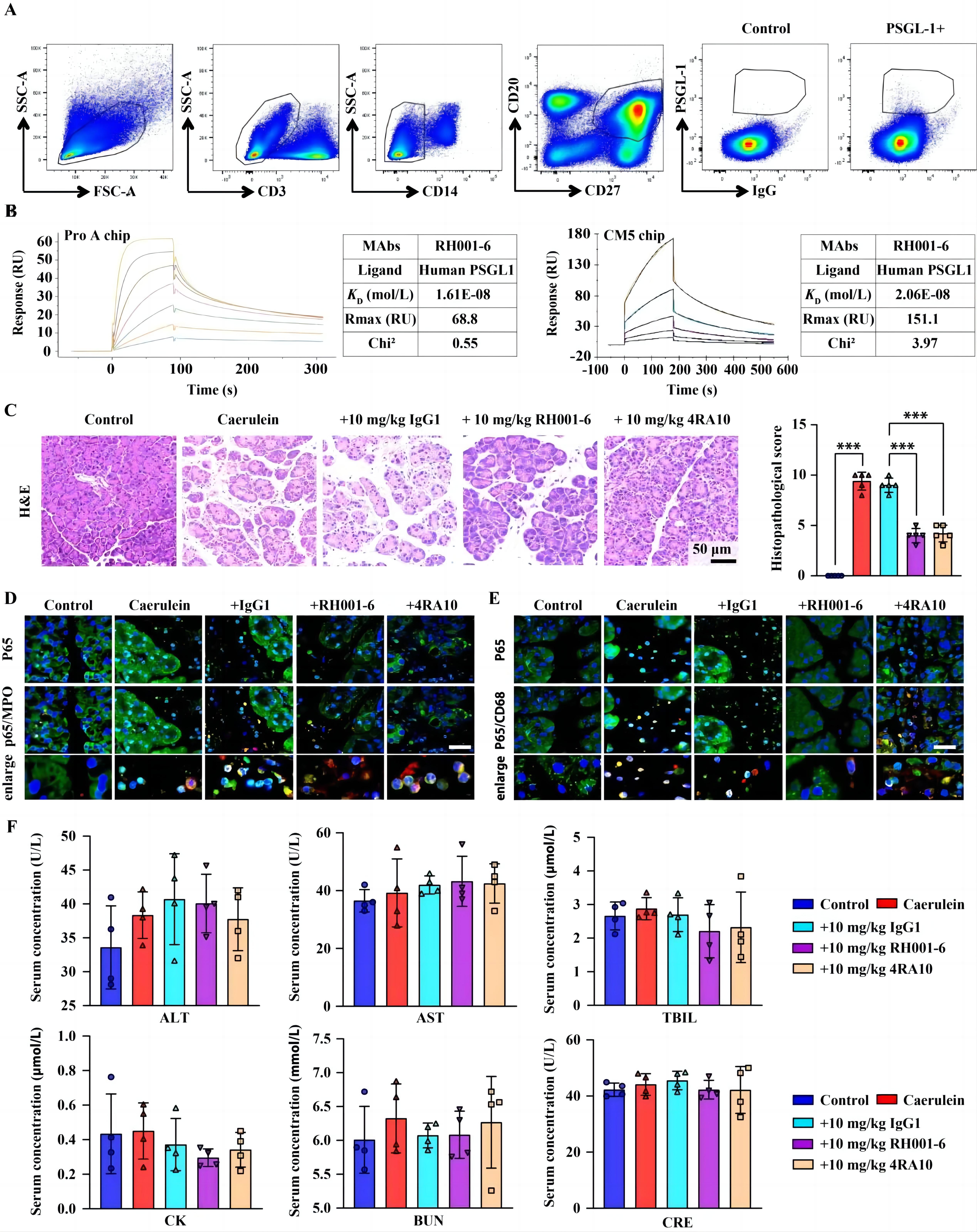 c77736956d924ac1824181b476017323.jpg 創(chuàng)新工程進(jìn)展快報(bào)第264期-動(dòng)研所-楊志偉.jpg
